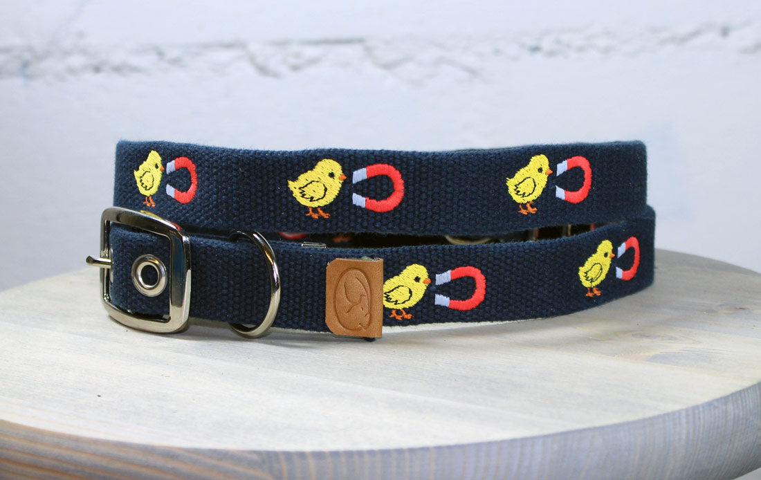 CHICK MAGNET NEEDLEPOINT DOG COLLAR™ – Asher Riley